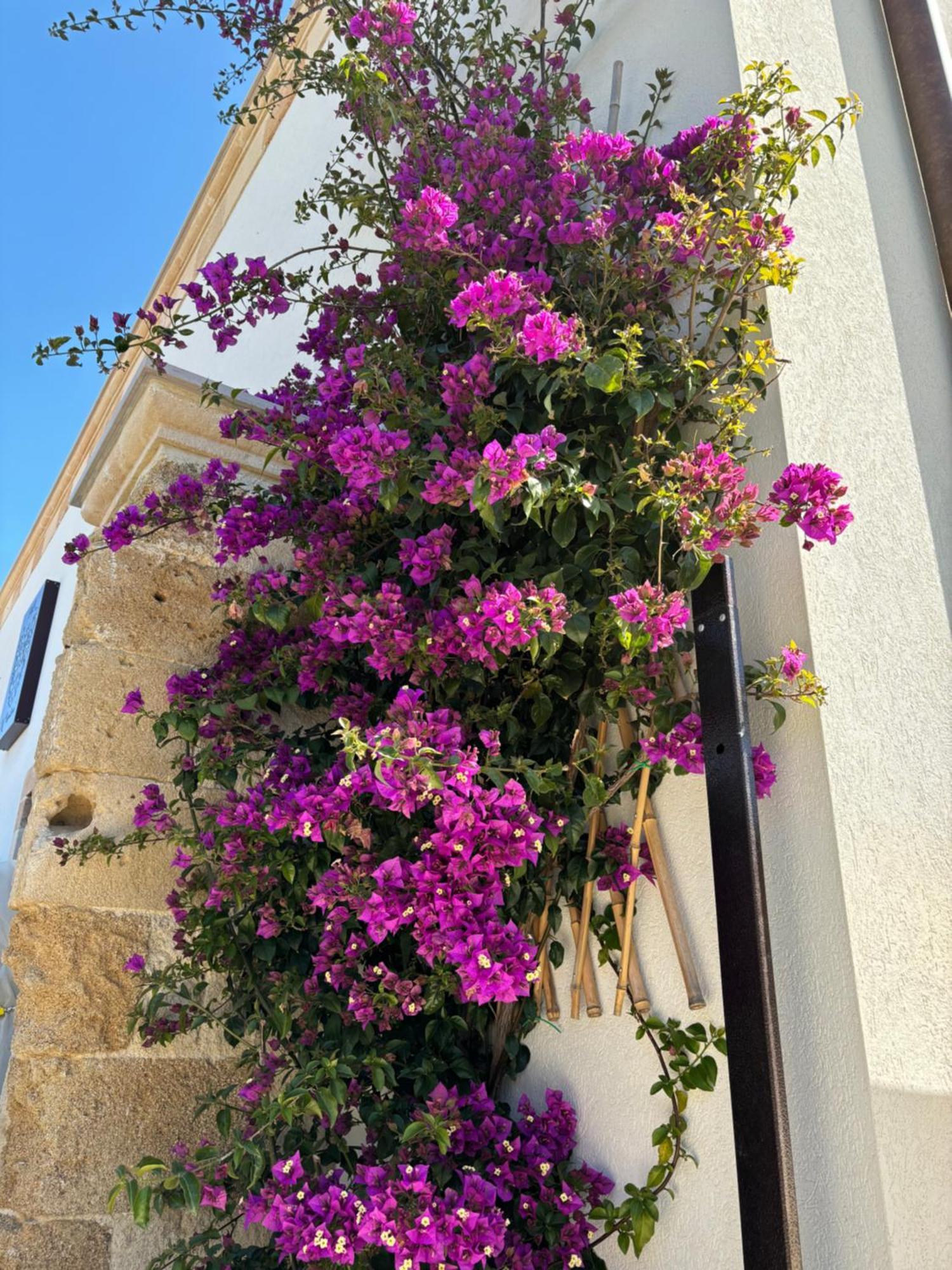Bed and Breakfast Il Casalino Taranto Exterior foto
